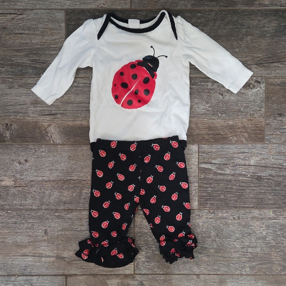 Baby Outfit with Ladybug Design (6 Month)